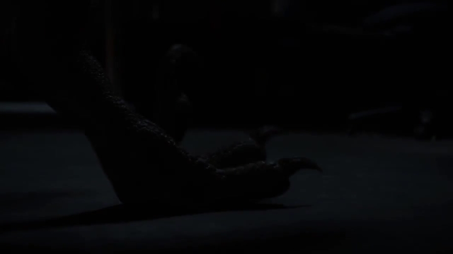 Wer streamt Primeval: New World? Serie online schauen